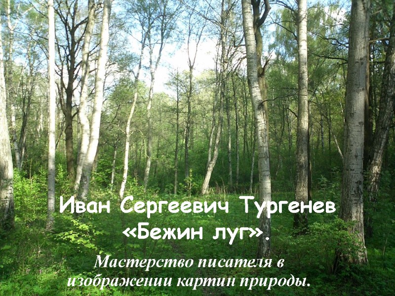 Иван Сергеевич Тургенев «Бежин луг». Мастерство писателя в изображении картин природы.